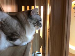 -白兔子密室(长寿路店)