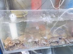 -美味海鲜大排档(明发美食地标店)