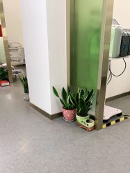 -苗医生0感科技祛痘