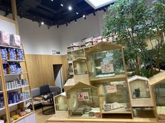 -屋虎猫馆(宝安大仟里店)