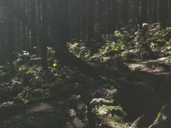 -芦芽山旅游度假区