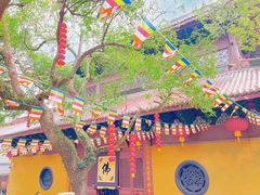 -杭州上天竺法喜讲寺