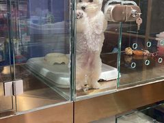 -FAELING PETS美天灵宠物(富力广场店)