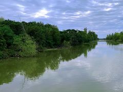 -盐城丹顶鹤湿地生态旅游区