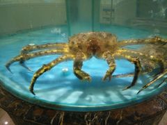 -上和臻品中国菜(花园街店)