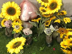 -济州岛泰迪熊博物馆