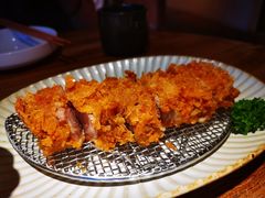 -山杏yama-katsu·吉列炸物