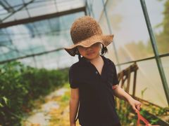 -前小桔亲子创意农场·草莓采摘·露营烧烤