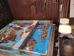 水产区-蟹将军·松叶蟹和牛日料放题自助(K11店)