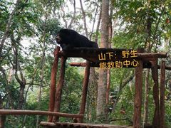 -关西瀑布