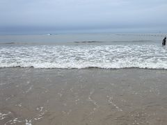 -日照海滨国家森林公园