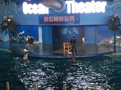 -苏州海洋馆