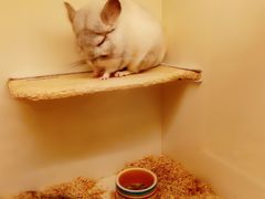 -龙猫仔乐园(惠福东路店)