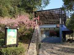 -裸心谷·裸心味餐厅