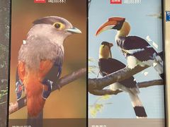 -听雨小筑茶舍(观音桥·龙湖新壹街店)