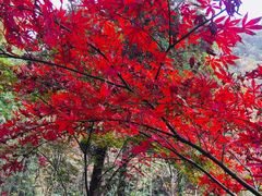 -敬亭山风景名胜区