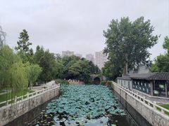 -水绘园