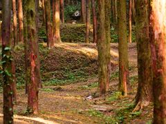-山王坪喀斯特国家生态公园