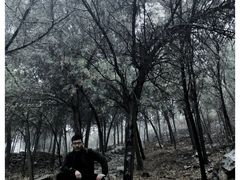 -原山国家森林公园