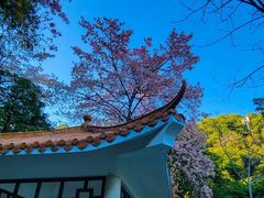 -火炉山森林公园