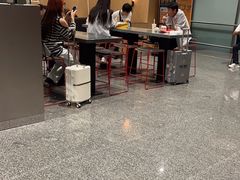 -麦当劳(北京大兴机场二层国内到达(安检外)店)