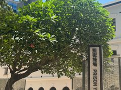 -大馆(前中区警署建築群)