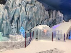 -长沙湘江冰雪世界