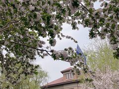 -天津五大道文化旅游区