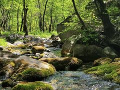 -玉渡山自然风景区