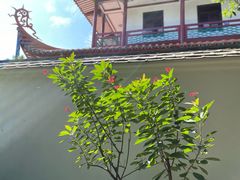 -开元寺