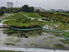 -南通洲际绿博园