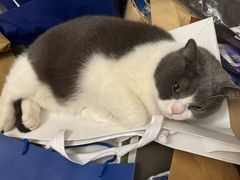 -阿嬷手作(柳州万象城店)