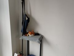 -兰拓相机租赁·维修·二手(上海店)