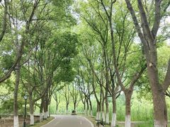-沙家浜风景区