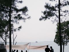 -苏州湾体育公园