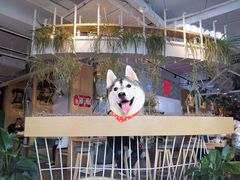 -嘉和一品粥(方庄店)