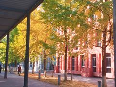 -四川大学(江安校区)