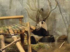 -深圳野生动物园