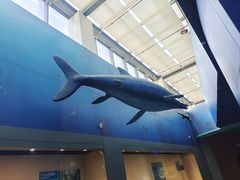 -安徽省地质博物馆