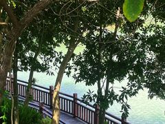 -广州白江湖森林公园