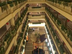-深圳维景酒店