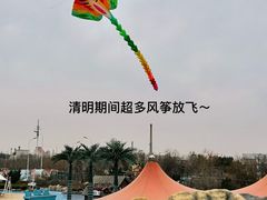 -海合安天津极地海洋公园