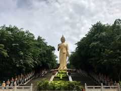 -西双版纳勐泐文化旅游区