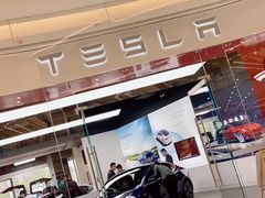 -TESLA 特斯拉(郑州正弘城体验店)