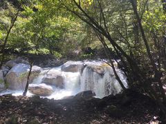 -青峰峡国家森林公园