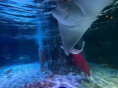 -沈阳海洋探索中心