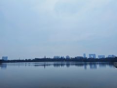-海珠湖公园