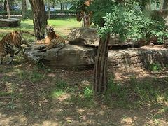 -秦皇岛野生动物园