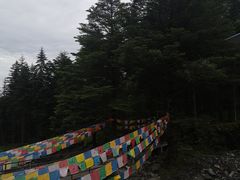 -硗碛藏寨·神木垒景区