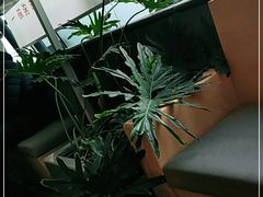 -嘉和一品粥(方庄店)
